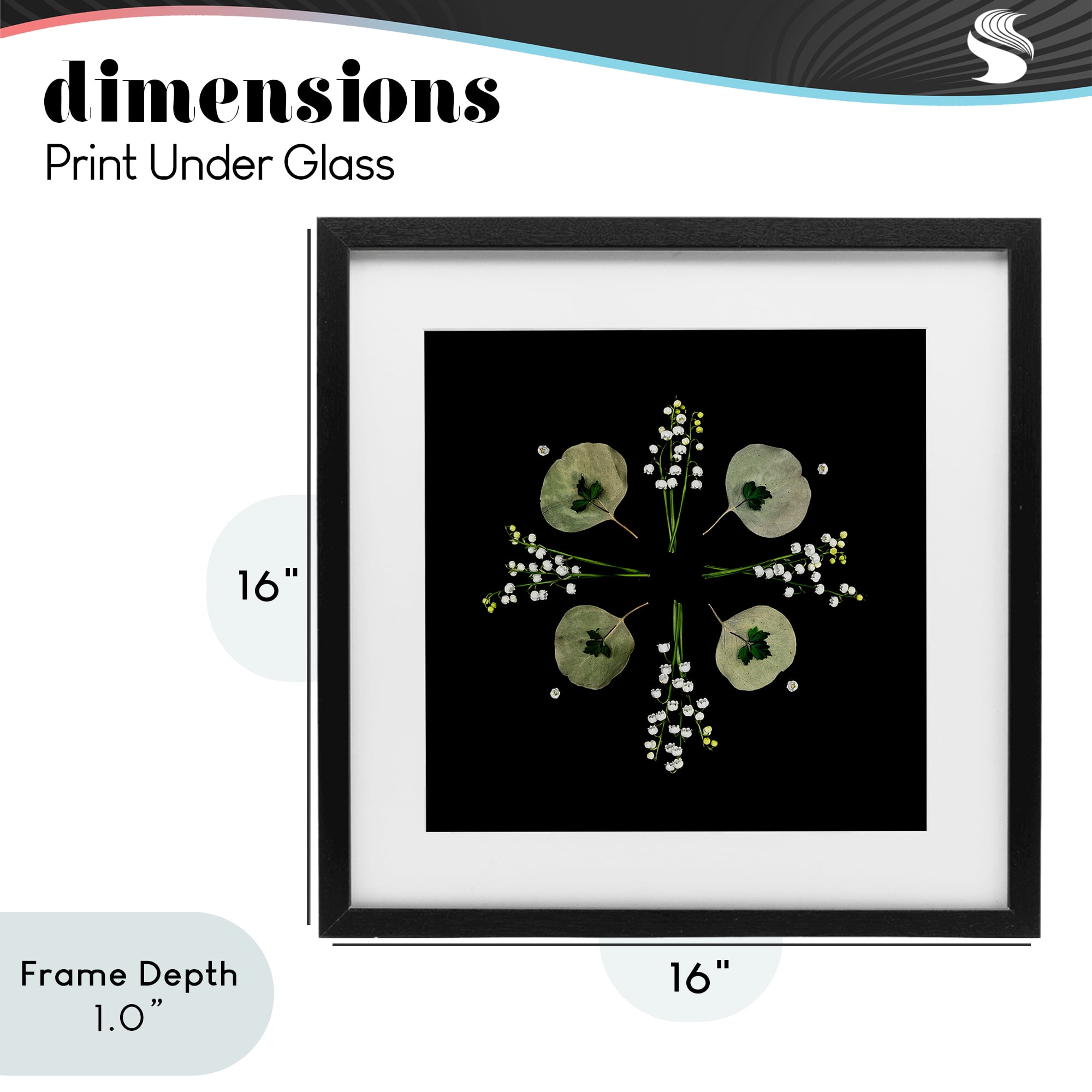 Stupell Industries Leaves & Wildflowers on Black Black Framed Print Under Glass, design by Beth Adoette