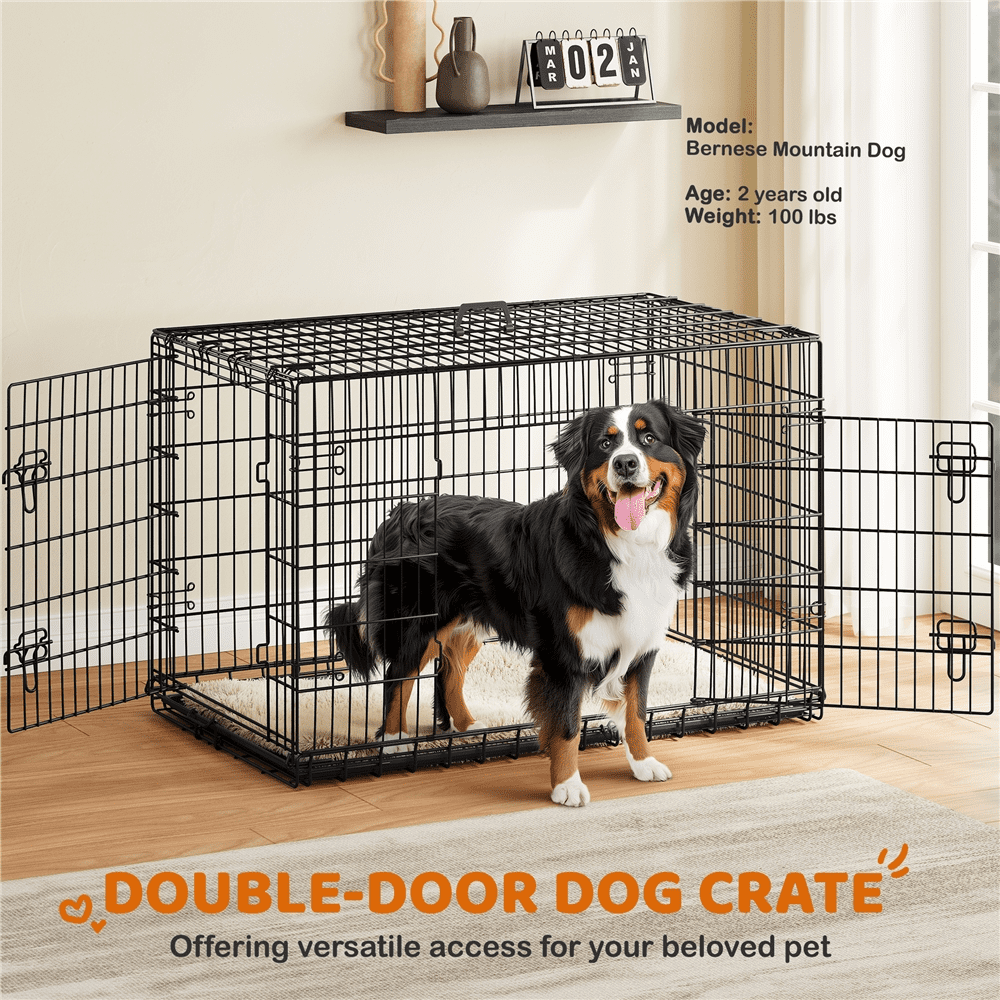 Alden Design 48″ Dog Crate with 2 Doors and Pull-out Tray for Large Dog, Black