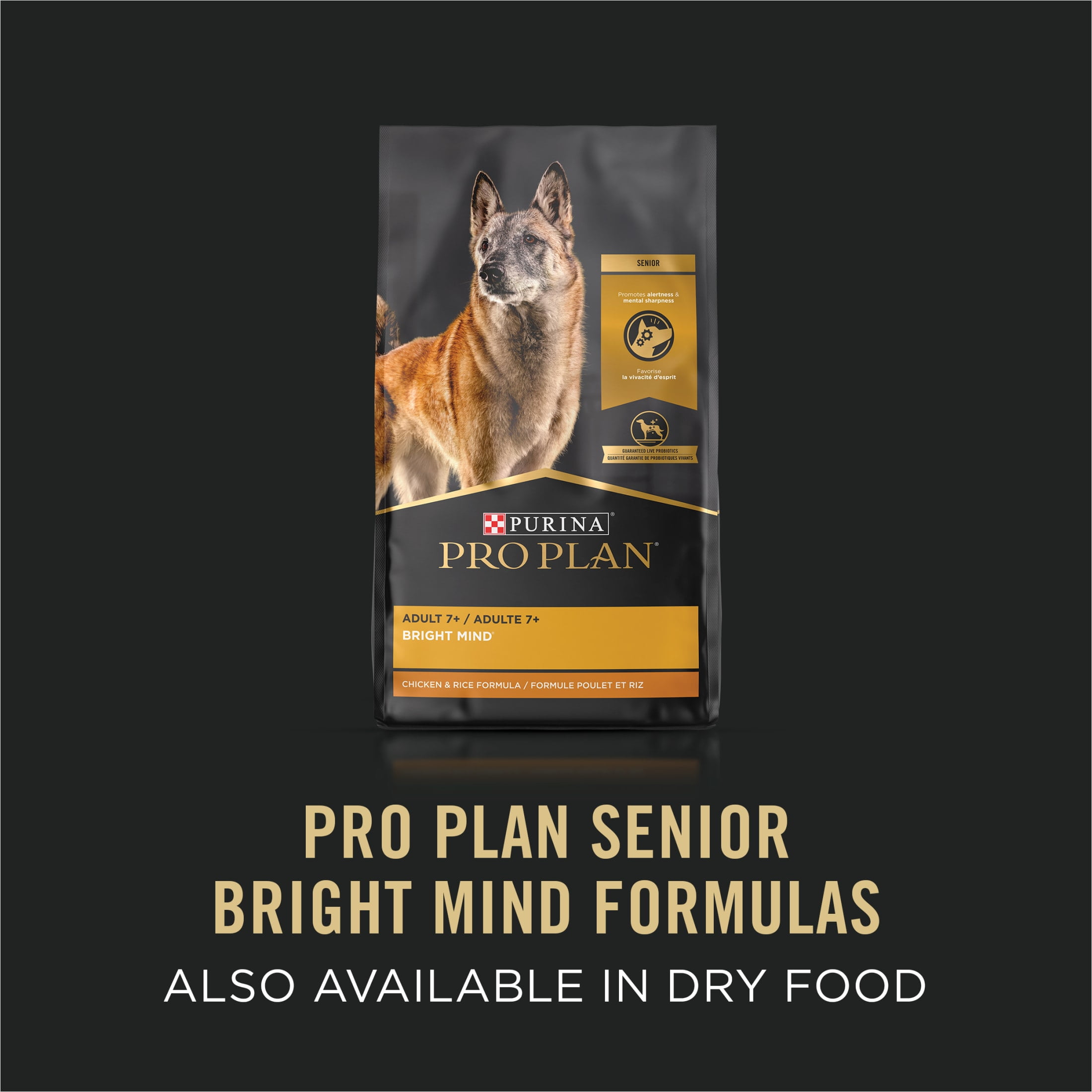 Purina Pro Plan Bright Mind Wet Dog Food, High Protein Soft Beef & Brown Rice, 10 oz Tub