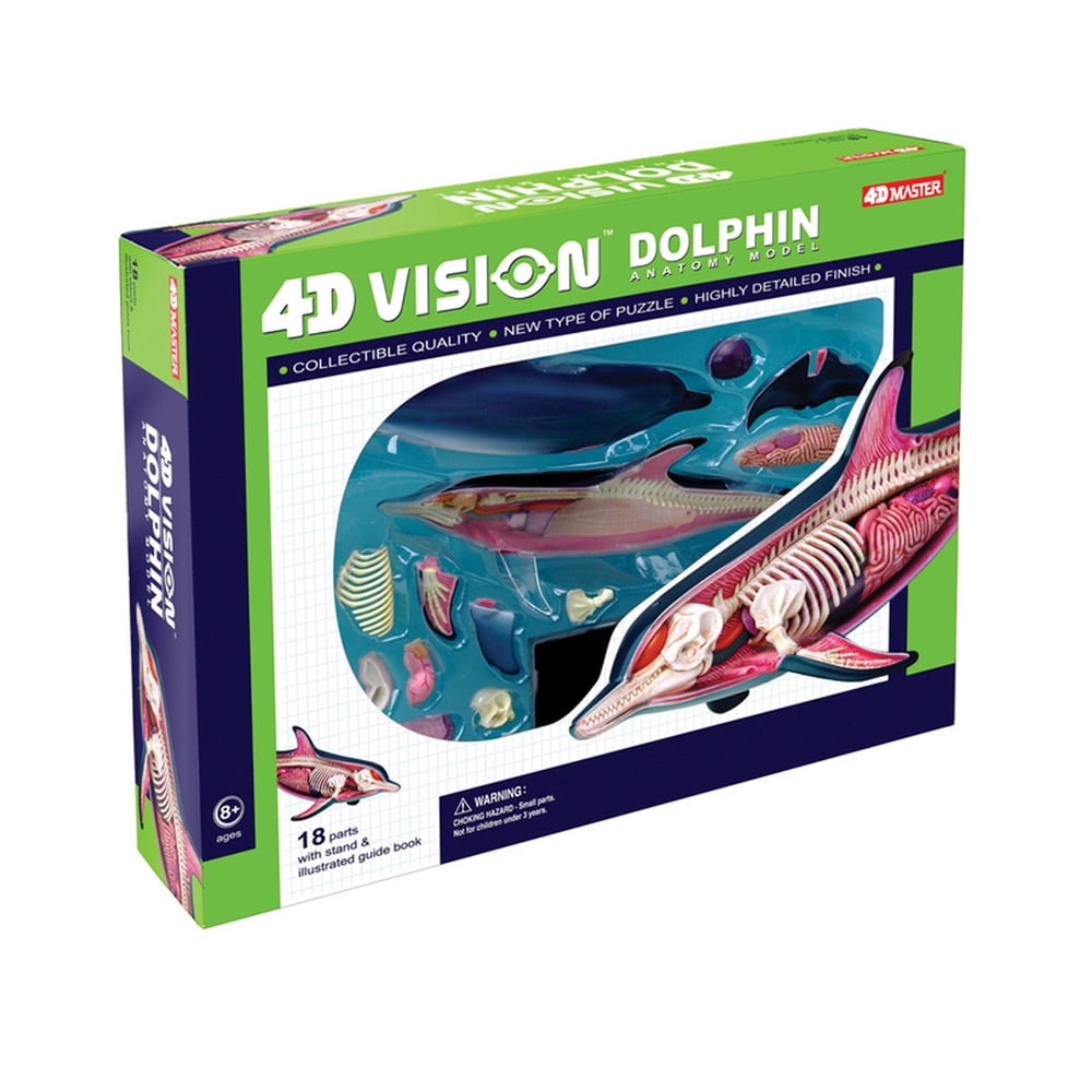 その他 4D VISION DOLPHIN ANATOMY MODEL 4D Vision Dolphin Model – The Science Bank