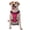 With Accessories, variant on Vsdgher Rose Red Glitter Pattern Dog Harness,No Pull Pet Harness with Soft Padded Handle,Adjustable Reflective Vest with 2 Buckles,4 Slide Buckles,S-XL Small