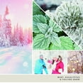 thumbnail image 5 of Yankee Candle Snow Globe Wonderland- Original Large Jar Candle, 5 of 5