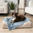 thumbnail image 3 of PetAmi Dog Blanket for Small Dogs Blue, Fluffy Soft Puppy Blanket, Sherpa Fleece Cat Blanket for Kitten Doggie, Calming Pet Blanket Throw for Couch Sofa Bed Washable, Small 24x32, 3 of 8