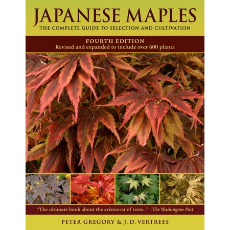 Japanese Maples - Hardcover (Best Time To Plant Japanese Maple)