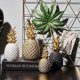 thumbnail image 4 of Piña Decorativa, Mediana, Blanca, 4 of 5