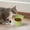 Green, variant on Tilted Elevated Cat Food Bowl Pet Anti-vomiting Feeding Dish Small Cat Dog Food Bowl Pet Supplies Feeding Solution