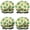 Yellow Cartoon Dinosaurs-2, variant on Shower Caps,White ROAR Text Dinosaurs Pattern Waterproof Shower Cap for Women 4 Pieces,Double Reusable Hair Cover for Shower PEVA Elastic Stretch Hem