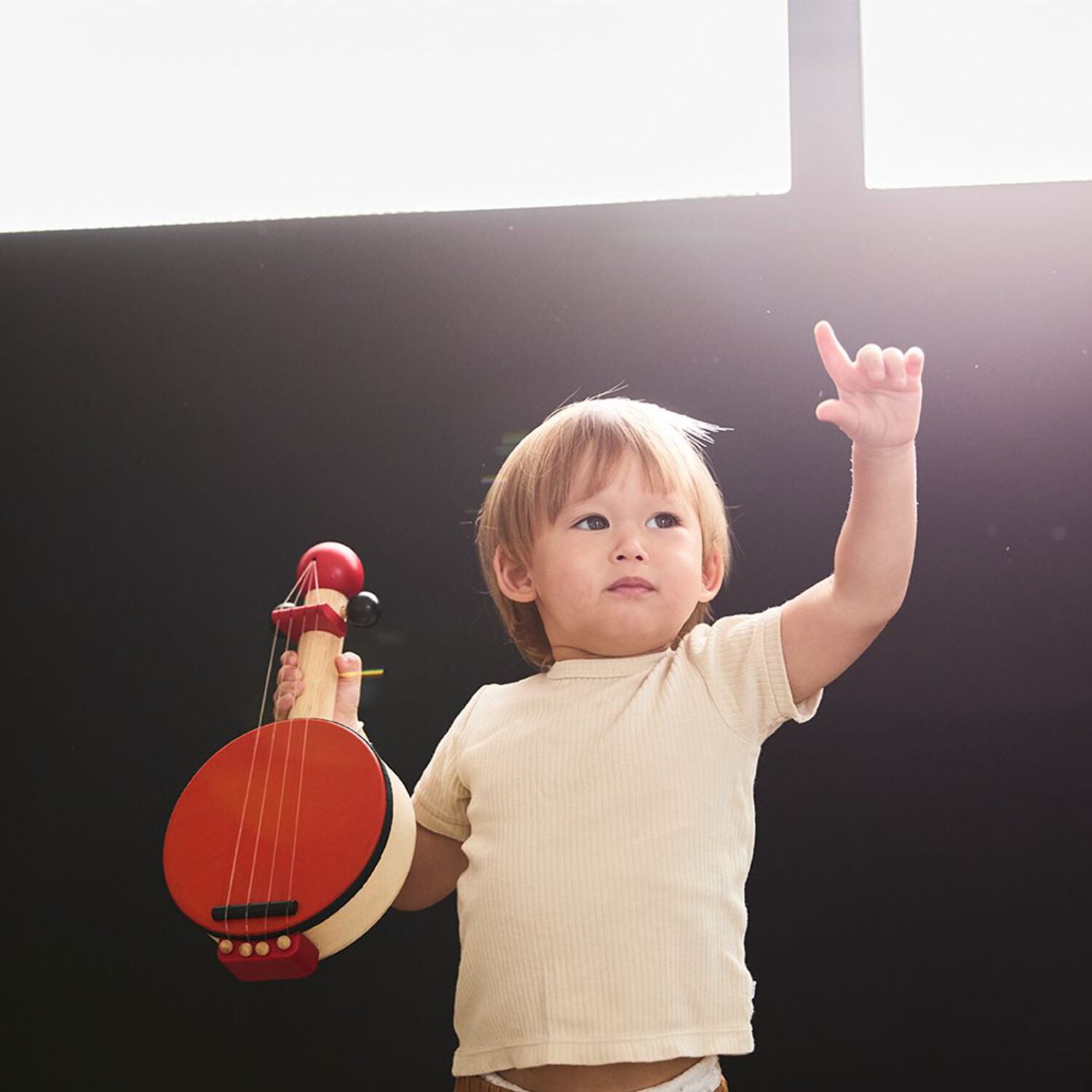 PlanToys Banjo
