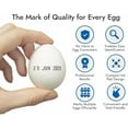 thumbnail image 3 of Handy Stamps  1 Ink Pad - with Black Egg Safe Ink - Ideal for Marking Eggs, 3 of 6