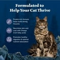 thumbnail image 5 of Blue Buffalo Wilderness Natural High-Protein, Grain-Free Dry Cat Food, Chicken, 6-lb. Bag, 5 of 11