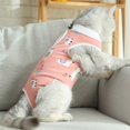 thumbnail image 6 of Xingjin Kitten Skin Recovery Clothes Suit Cat Post Surgery, E Collar Alternative Abdominal Anti Licking Pajama Sets for Cats and Dogs Comfort Wear Style,Pink,M, 6 of 8