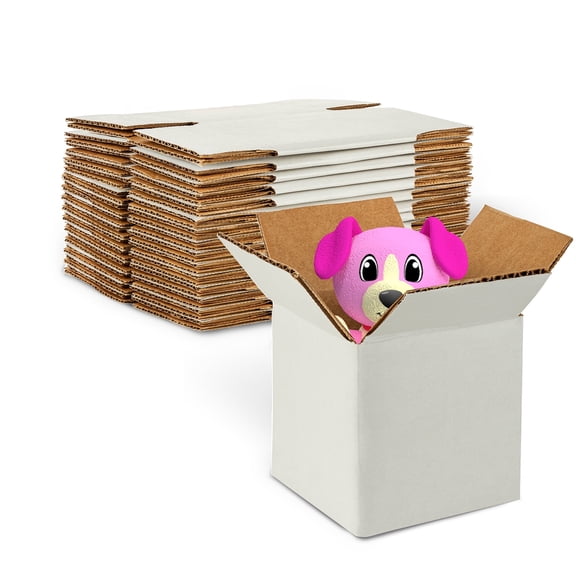 MT Products White Corrugated Cardboard Shipping Boxes 4" x 4" x 4" - Pack of 15