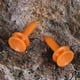 thumbnail image 5 of 100 piezas Mini Golf Tees plástico Golf clavo límite Pin al aire libre golfista accesorio, 5 of 8