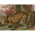 thumbnail image 2 of Fagalde, Jarman 14x12 Black Ornate Wood Framed with Double Matting Museum Art Print Titled - Urban Jungle Cat II, 2 of 4