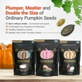 SuperSeedz Dry Roasted Pumpkin OIF8 Seeds with Pink Himalayan Sea Salt