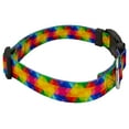 thumbnail image 4 of Country Brook Petz® Kaleidoscope Everyday Dog Collar - Made in The U.S.A., 2XS, 4 of 5