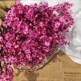 thumbnail image 6 of 10 Bundle Artificial Babys Breath Flowers Fake Gypsophila Bouquet Faux Silk Floral for Flower Arrangements Kitchen Wedding Home Decor (Pink), 6 of 8