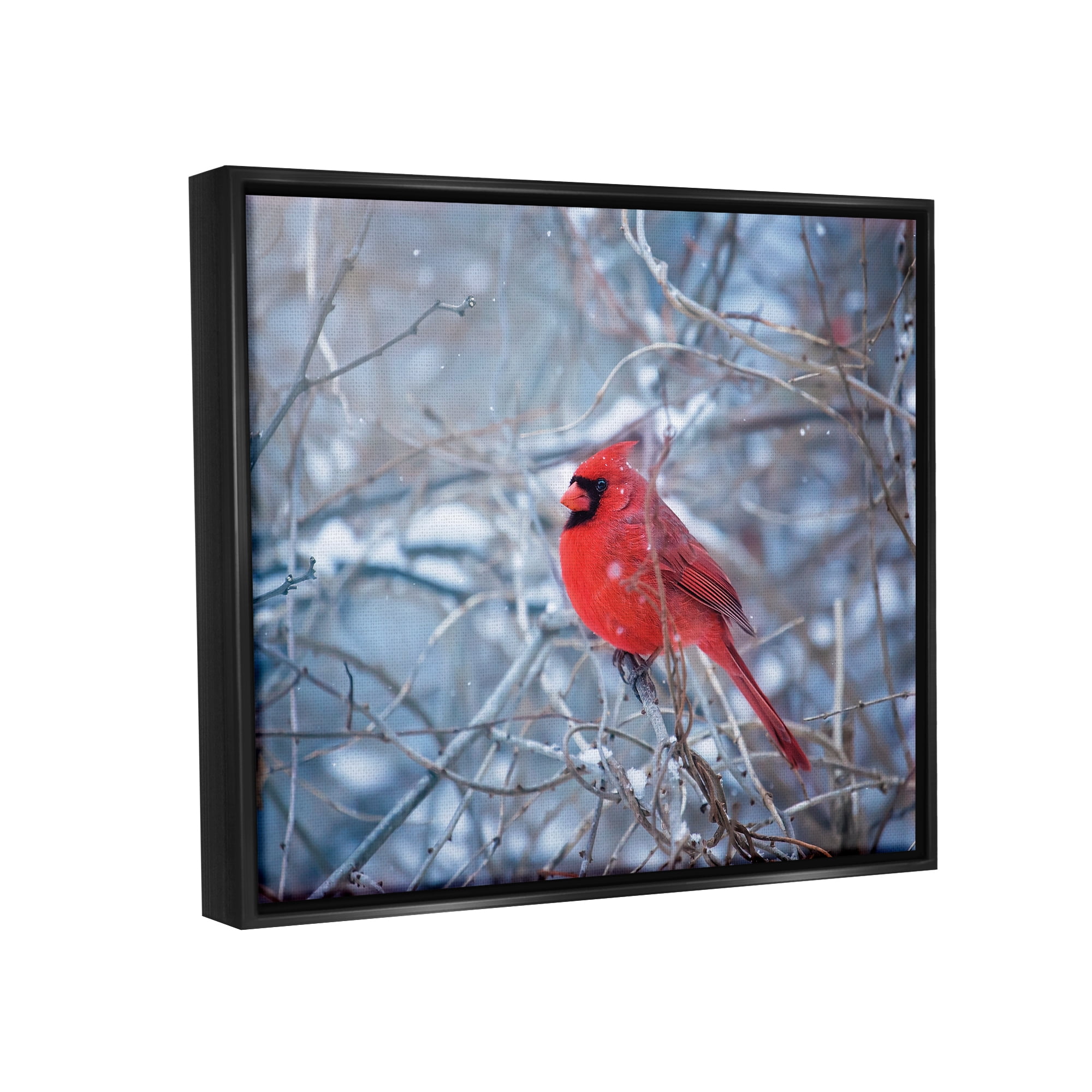 Stupell Industries Cardinal in Winter Branches Animals & Insects Photography Black Floater Framed Art Print Wall Art, 31 x 25