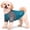 Teal, variant on Pet Life ® Active 'Hybreed' 4-Way-Stretch Fitness Performance Dog T-Shirt