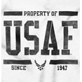 thumbnail image 2 of US Air Force Property of USAF Zip Up Hoodie Men's Women's Brisco Brands M, 2 of 6