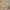 Rust, variant on Nourison Petra Persian Rust 7'10" x 10'4" Area Rug, (8x10)