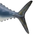 thumbnail image 3 of Poisson Prothétique, Modèle de Poisson Simulé Éducatif, Collections d'Animaux Marins pour Enfants d'Âge Préscolaire, 3 of 7