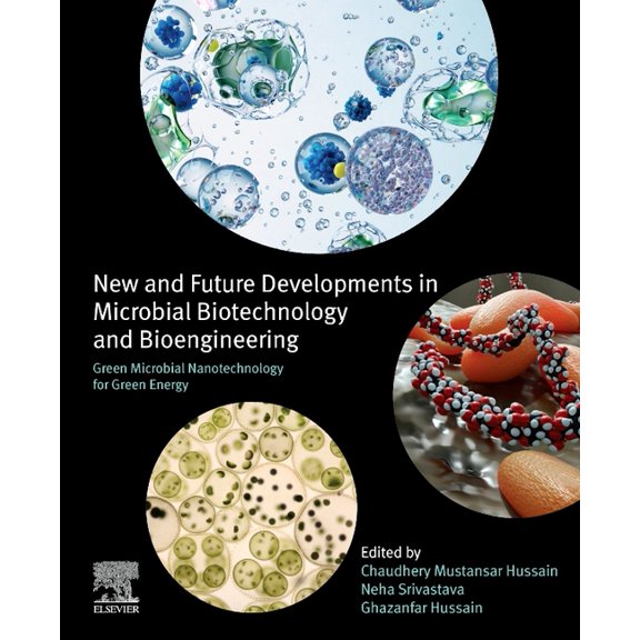 Green Microbial Nanotechnology for Green Energy: New and Future Developments in Microbial Biotechnology and Bioengineeri, (Paperback)