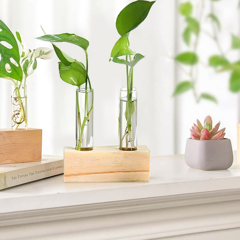 Propagation Tubes Tabletop Plant Terrarium Planter Pots Indoor Plants Test Vase Hydroponics Small Water Office