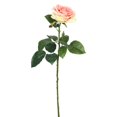 thumbnail image 1 of Vickerman FA173901 Tige Florale Rose-Corail - 26 Po, 1 of 1