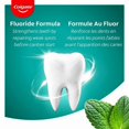 thumbnail image 3 of Colgate Cavity Protection Fluoride Toothpaste, Winterfresh, 95 mL, 3 of 5
