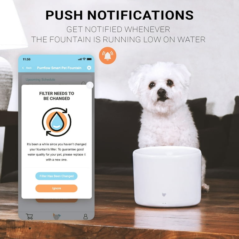 Instachew Purrflow Smart Pet Cat Water Fountain Automatic Cat and