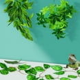thumbnail image 5 of 3 Pieces 12 Inch Reptile Plants Set Artificial Hanging Silk Terrarium Plant Artificial Money Plant Hanging Vines with Suction Cups for Lizards Bearded Dragons Snake Geckos Hermit Crab Tank Decor, 5 of 6