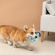 thumbnail image 2 of Juguete interactivo para perros que chirría, de tela suave con relleno de PP, resistente para morder y jugar, para interior y exterior, para cachorros y razas pequeñas y medianas, 2 of 6
