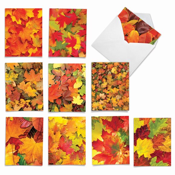 The Best Card Company - 10 Beautiful Note Cards Blank (4 x 5.12 Inch) - Fall and Autumn Season, Boxed Notecard Assortment - Leaf a Message M2009