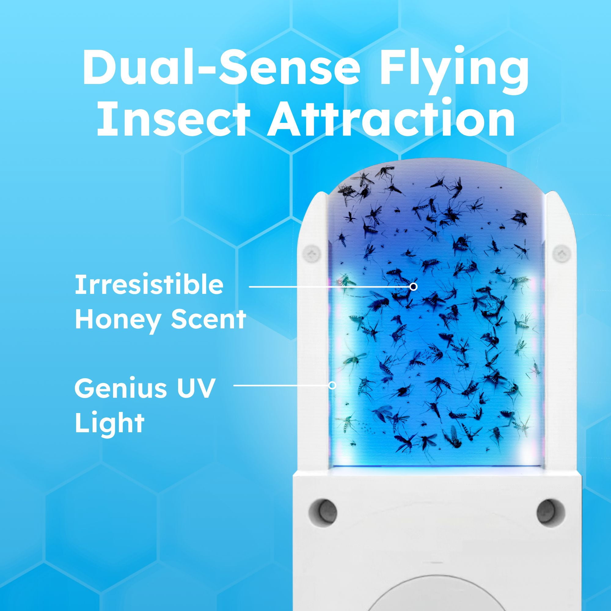 BugMD No Buzz Zone - Flying Insect Trap Catcher Indoor Fly Safer Home Fruit Traps for Gnat Moth Mosquito Bug Light Plug in Killer Refillable Uv Zapper Flea Inside and Indoors 1 Device + 6 Refill