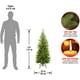 thumbnail image 2 of Árbol de Navidad Abeto Kingswood Estilo Lápiz Artificial 4 pies con 269 puntas y Soporte National Tree Company KW7-500-40, 2 of 2