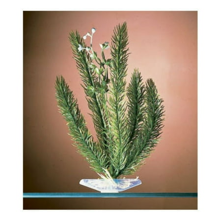 Penn-Plax Aqua-Plant Club Moss Plant - 12"