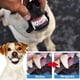 thumbnail image 4 of Kit Limpieza Dental 8PCS Cepillo Dientes para Perros Sabor Carne Res para Mascotas, 4 of 7