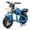 Blue+Polypropylene, variant on HMYG 24V 300W Electric Toy Muscle Motorcycle with Hub Motor and 14-Inch EVA Wheels, Ages 6+