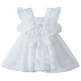thumbnail image 1 of POINTERTECK Bébé Bébé Filles Dentelle Robe Tenue Sans Manches Tutu Mini Robe, 1 of 6