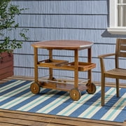 Rayan Outdoor Dark Oak Acacia Wood Bar Cart with Shiny Powder Coated Aluminum Accents