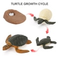 thumbnail image 1 of Qaailabf Cheap Stuff 4 Piece Insect Figure Life Cycle Plastic Brood to Period, 1 of 3