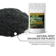 thumbnail image 5 of Mycorrhizal Fungi Organic Root Enhancer for Plants,Rooting Powder, Super Potent 100 Spores Per Gram, 5-Strain Blend, Rapid Results for Gardens, Houseplants, Lawns, Mycorrhizae Smart Grower, 5 of 18