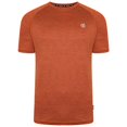 thumbnail image 3 of Dare 2B - Camiseta Persist Jaspeada para Hombre (Ladrillo Quemado), 3 of 3
