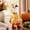 D, variant on Sruoe Halloween Desk Goose Outfits, 7 Inch Mini Sunflower Geese Clothing Set Porch Goose Clothes, Desktop Goose Outfits, Costume Clothes for Table Decor Tabletop Goose Accessory Holiday