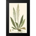thumbnail image 2 of Curtis 12x18 Black Modern Framed Museum Art Print Titled - Curtis Ferns III, 2 of 5