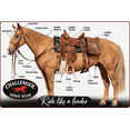 thumbnail image 4 of Horse 22"  Western 27 Strand Double Weave Cream Mohair Roper Cinch 97RT07CR-22, 4 of 5