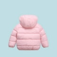 thumbnail image 3 of Winter Coats for Kids Toddlers Baby Boys Girls with Removable Hooded Jacket Warm Fleece Coat Outerwear 1-6 Years, 3 of 10