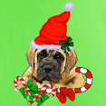 thumbnail image 3 of CafePress - English Mastiff Christmas T Shirt - Light T-Shirt - CP, 3 of 4
