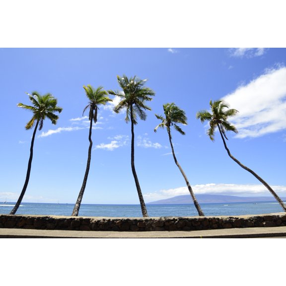 Palm trees jut out over the water Maui Hawaii Canvas Art - Ryan RossottoStocktrek Images (34 x 23)